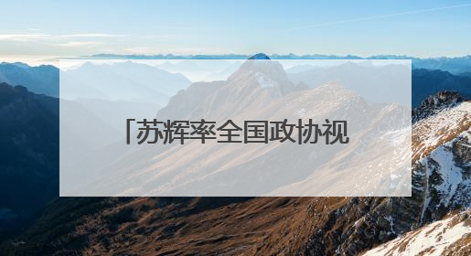 苏辉率全国政协视察团到江苏开展民主监督性视察活动