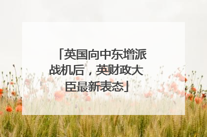 英国向中东增派战机后，英财政大臣最新表态
