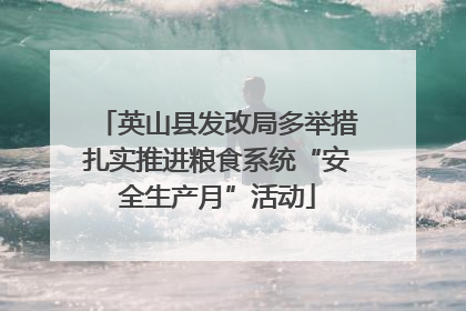 英山县发改局多举措扎实推进粮食系统“安全生产月”活动