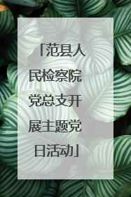 范县人民检察院党总支开展主题党日活动