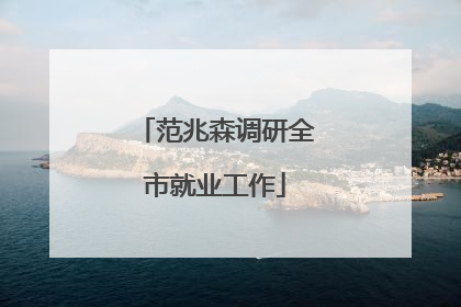 范兆森调研全市就业工作