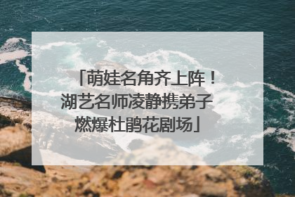 萌娃名角齐上阵！湖艺名师凌静携弟子燃爆杜鹃花剧场