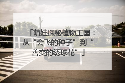 萌娃探秘植物王国：从“会飞的种子”到“善变的绣球花”