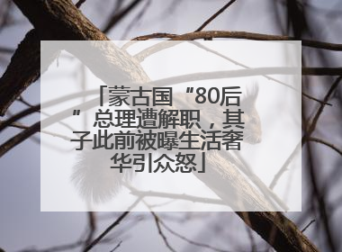 蒙古国“80后”总理遭解职，其子此前被曝生活奢华引众怒