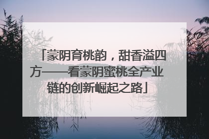 蒙阴育桃韵，甜香溢四方——看蒙阴蜜桃全产业链的创新崛起之路