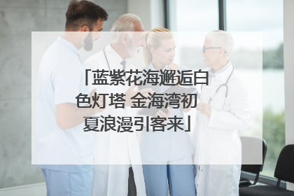 蓝紫花海邂逅白色灯塔 金海湾初夏浪漫引客来