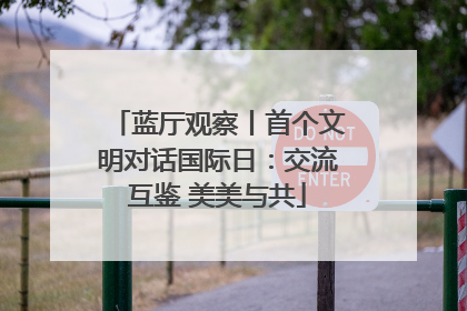 蓝厅观察丨首个文明对话国际日：交流互鉴 美美与共