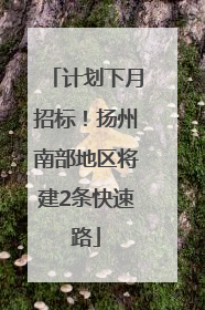 计划下月招标！扬州南部地区将建2条快速路