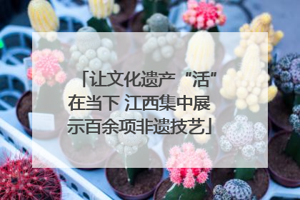 让文化遗产“活”在当下 江西集中展示百余项非遗技艺