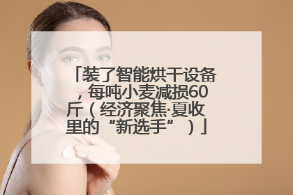 装了智能烘干设备，每吨小麦减损60斤（经济聚焦·夏收里的“新选手”）
