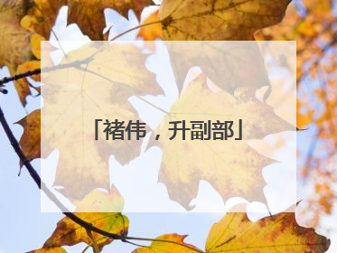 褚伟，升副部