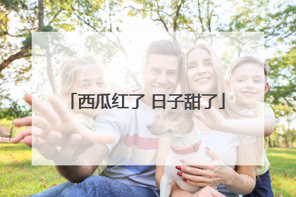 西瓜红了 日子甜了