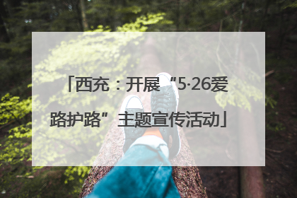 西充：开展“5·26爱路护路”主题宣传活动