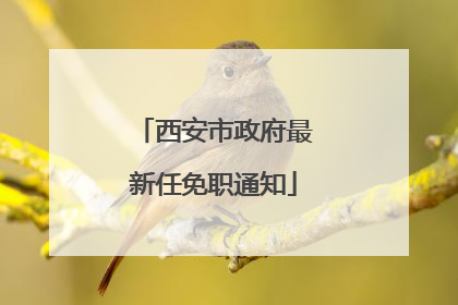 西安市政府最新任免职通知