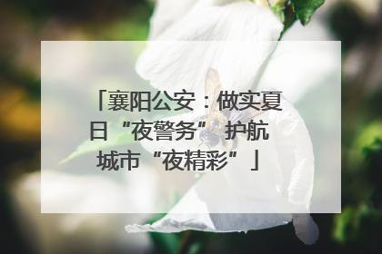 襄阳公安：做实夏日“夜警务” 护航城市“夜精彩”