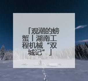 观潮的螃蟹丨湖南工程机械“双城记”