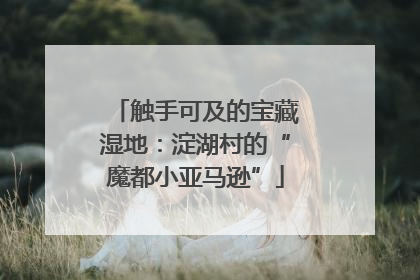 触手可及的宝藏湿地：淀湖村的“魔都小亚马逊”