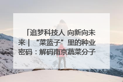 追梦科技人 向新向未来｜“菜篮子”里的种业密码：解码南京蔬菜分子育种的创新之路