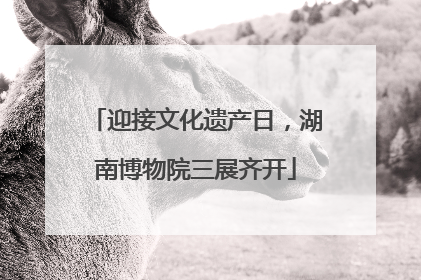 迎接文化遗产日，湖南博物院三展齐开