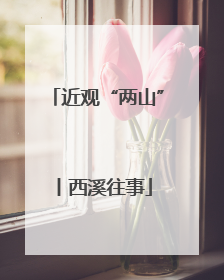 近观“两山”丨西溪往事