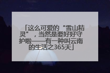这么可爱的“雪山精灵”，当然是要好好守护啦——有一种叫云南的生活之365天