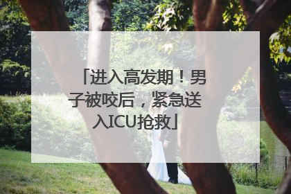 进入高发期！男子被咬后，紧急送入ICU抢救