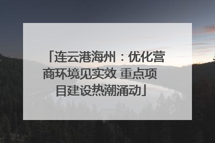 连云港海州：优化营商环境见实效 重点项目建设热潮涌动