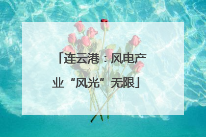 连云港：风电产业“风光”无限