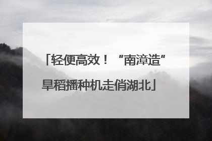 轻便高效！“南漳造”旱稻播种机走俏湖北