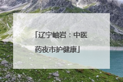 辽宁岫岩：中医药夜市护健康