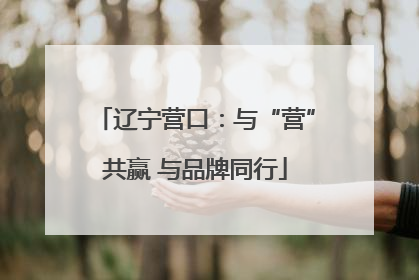 辽宁营口：与“营”共赢 与品牌同行