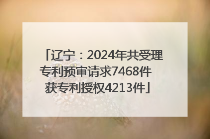 辽宁：2024年共受理专利预审请求7468件 获专利授权4213件