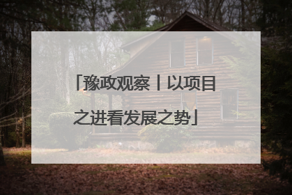 豫政观察丨以项目之进看发展之势