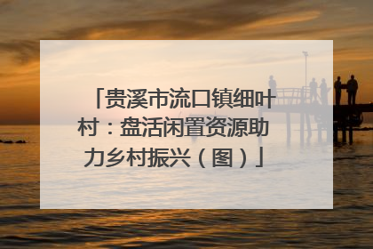贵溪市流口镇细叶村：盘活闲置资源助力乡村振兴（图）