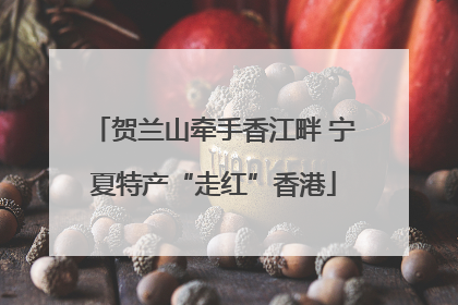贺兰山牵手香江畔 宁夏特产“走红”香港