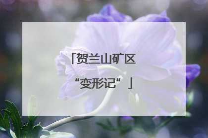 贺兰山矿区“变形记”