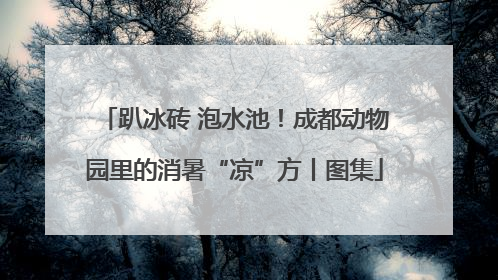 趴冰砖 泡水池！成都动物园里的消暑“凉”方丨图集
