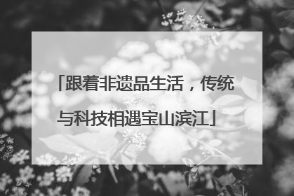 跟着非遗品生活，传统与科技相遇宝山滨江