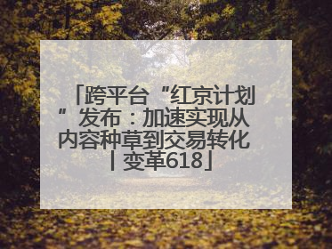 跨平台“红京计划”发布：加速实现从内容种草到交易转化丨变革618