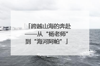 跨越山海的奔赴——从“杨老师”到“海河阿帕”