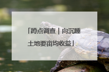 蹲点调查｜向沉睡土地要亩均收益