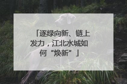逐绿向新、链上发力，江北水城如何“焕新”