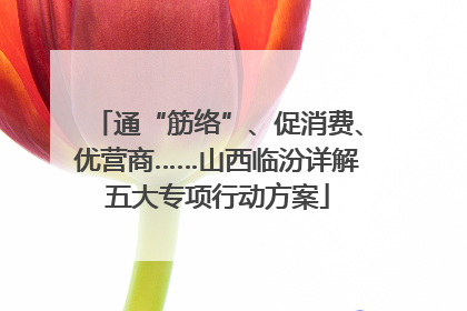 通“筋络”、促消费、优营商……山西临汾详解五大专项行动方案