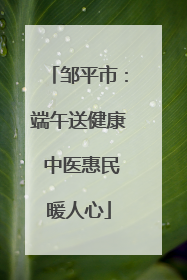 邹平市：端午送健康 中医惠民暖人心