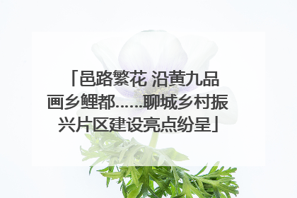 邑路繁花 沿黄九品 画乡鲤都……聊城乡村振兴片区建设亮点纷呈