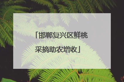 邯郸复兴区鲜桃采摘助农增收