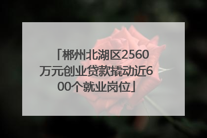 郴州北湖区2560万元创业贷款撬动近600个就业岗位