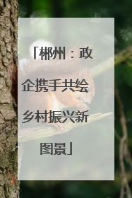 郴州：政企携手共绘乡村振兴新图景