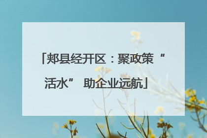 郏县经开区：聚政策“活水” 助企业远航