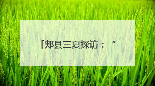 郏县三夏探访：“五月人倍忙”新解